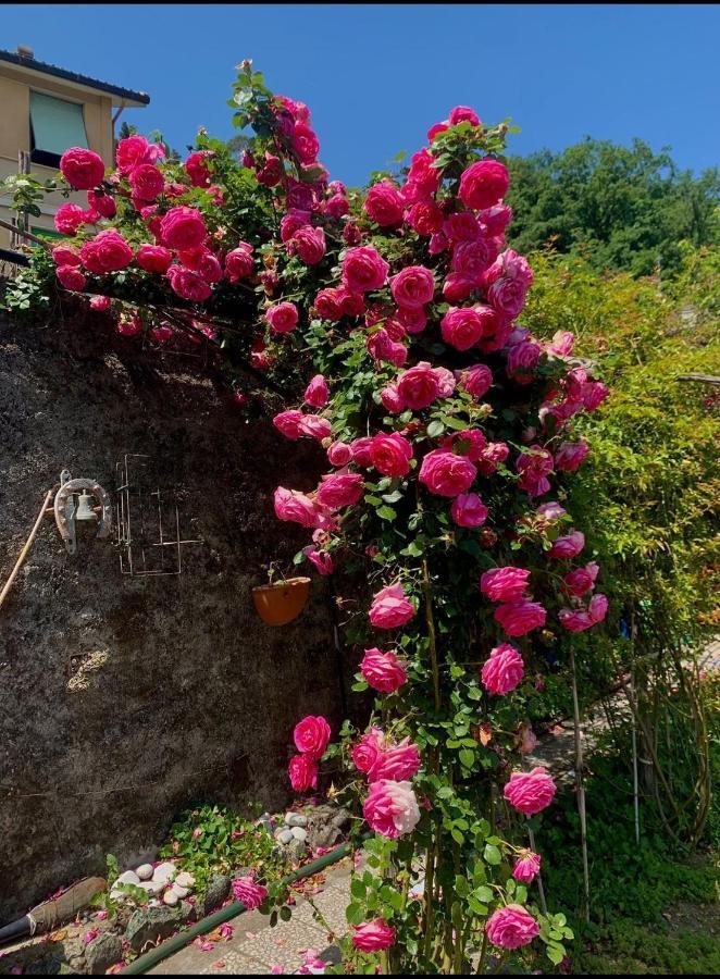 Holiday home Ca' De Natta Sestri Levante