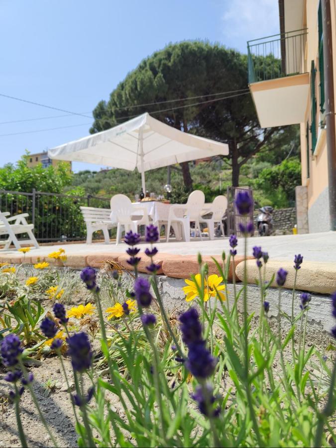 Ca' De Natta Holiday home