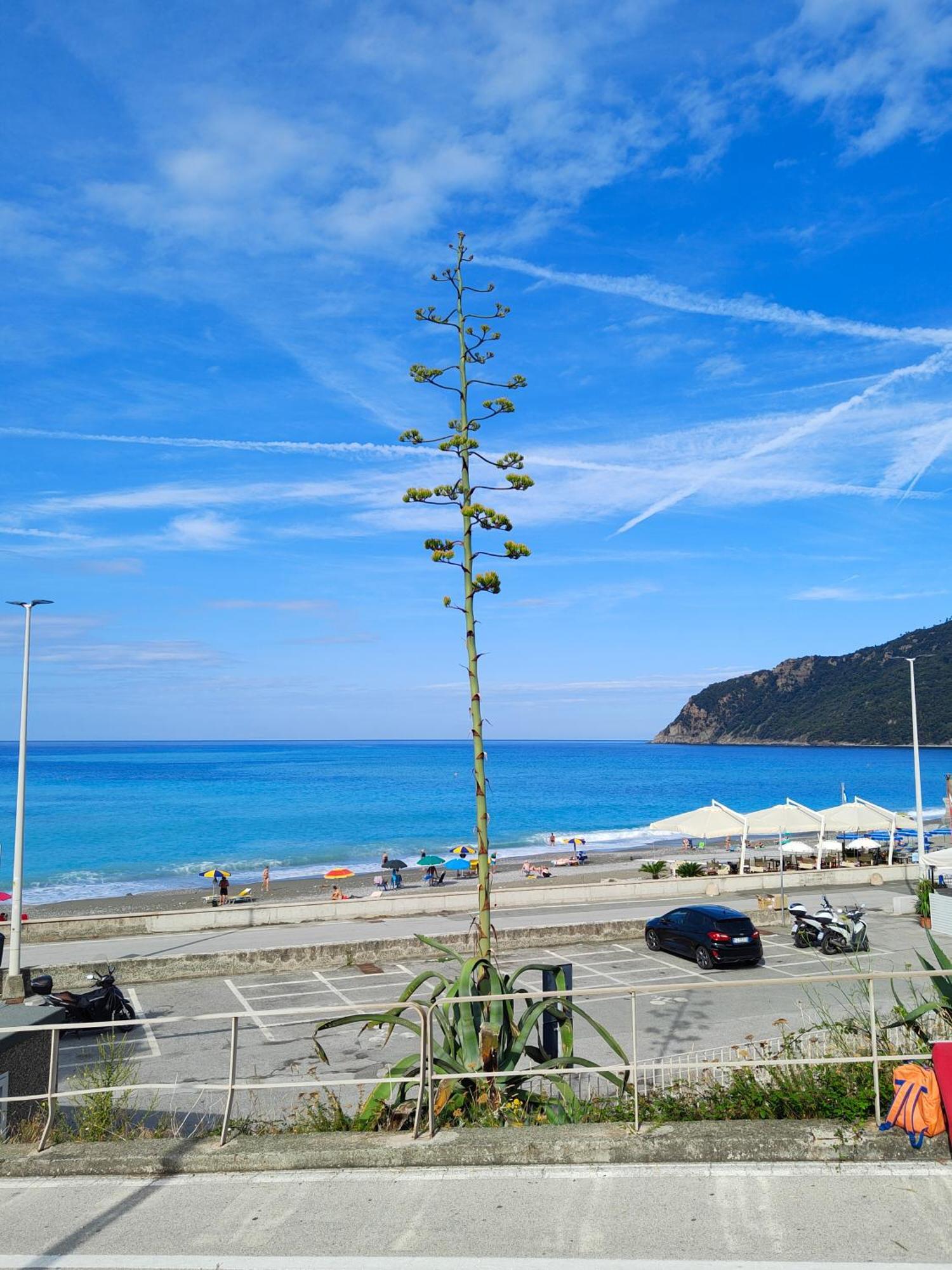Ca' De Natta Holiday home Sestri Levante